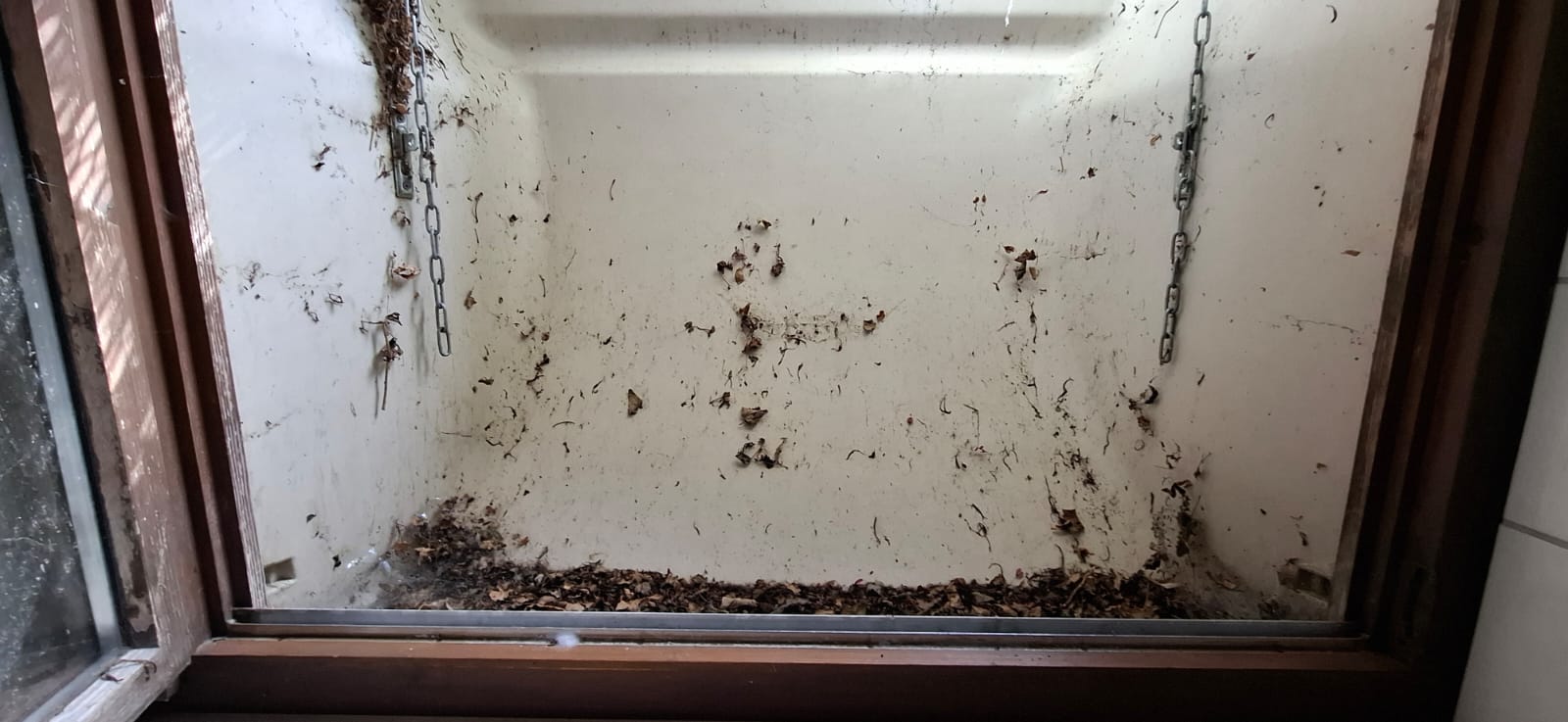 Kellerschacht vor der Reinigung.