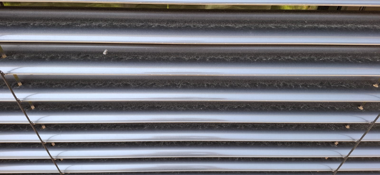 Rollade vor der Reinigung.