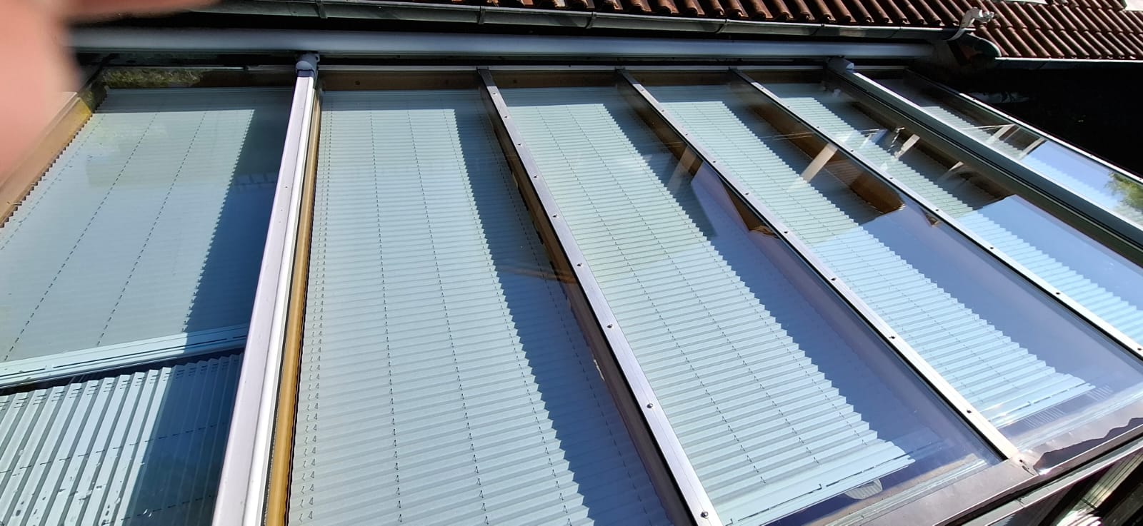 Perfekt gereinigte Fenster eines Wohnhauses mit Blick auf einen Baum.